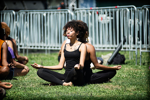 Afropunk Festival - Commodore Barry Park - BK USA - 2013