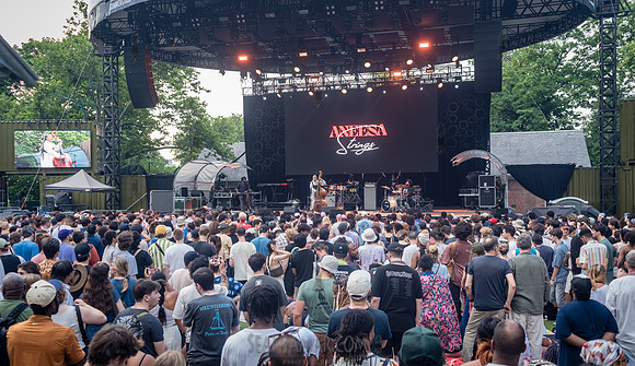 Aneesa Strings - CPF SummerStage - Yussef Dayes - Rumsey Playfie