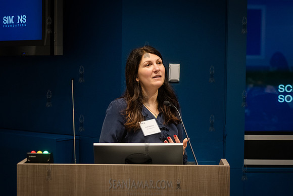 SF - Science, Society & Culture Summit - Simons Foundation - NYC