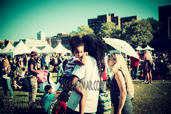 Afropunk Festival - Commodore Barry Park - BK USA - 2014