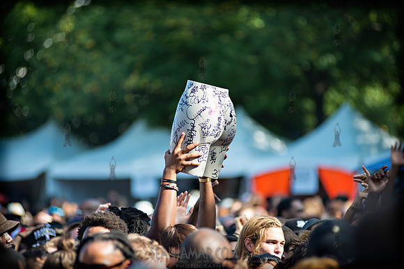 Afropunk Festival - Commodore Barry Park - BK USA - 2013