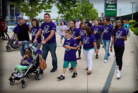 Team Forza ALR Walk with Us to Cure Lupus Walkathon - Met Life S