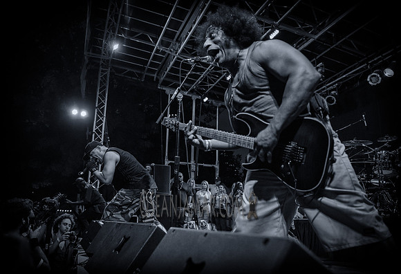 Body Count - Afropunk Festival - Commodore Barry Park - BK USA - 2014