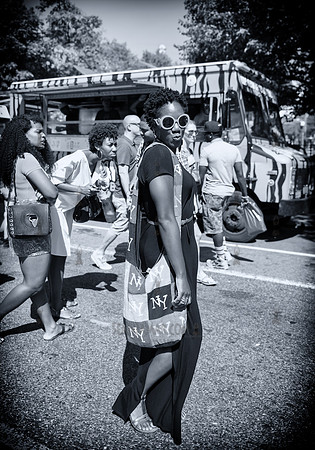 Afropunk Festival - Commodore Barry Park - BK USA - 2013