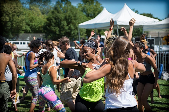 Afropunk Festival - Commodore Barry Park - BK USA - 2013