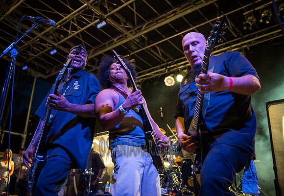 Body Count - Afropunk Festival - Commodore Barry Park - BK USA - 2014