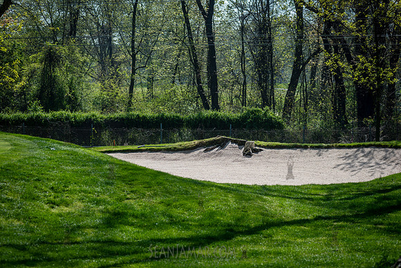 PSAL Individual Golf Championships - Pelham Bay Split Rock GC -
