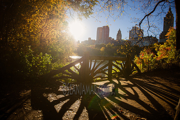 Adventure Day - Central Park - NYC - 2016