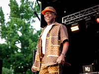 CPF SummerStage - Chuck Chillout 40th Radio Anniv - Crotona Park
