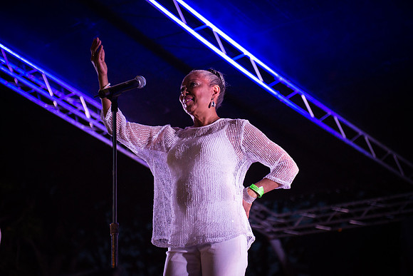 The Ladies Of Skyy - The SalSoul Edition - East River Park - NYC - 2014