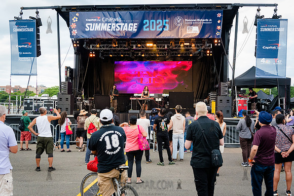 Tara Lily - NYC SummerStage - DJ Rekha Basement Bhangra - Flushi