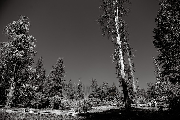 Adventure Day - Chilnualna Falls Hike - Yosemite National Park - Wawona CA - 2017