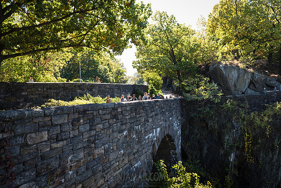 CPF Green Fund - NYC Bird Alliance Accessible Birding - Ft Tryon