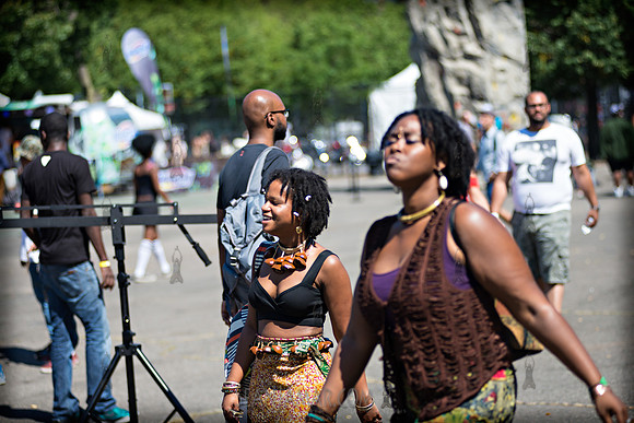 Afropunk Festival - Commodore Barry Park - BK USA - 2013