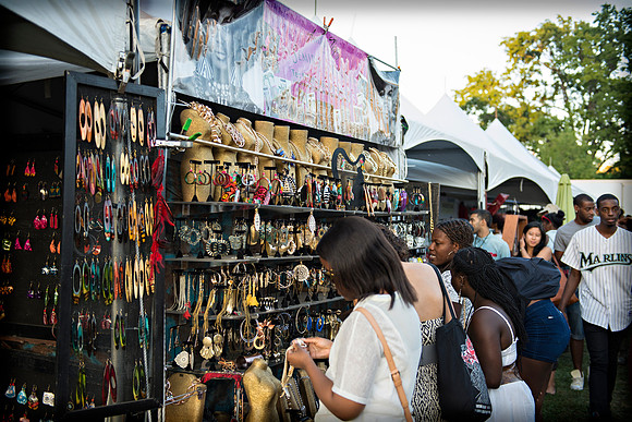 Afropunk Festival - Commodore Barry Park - BK USA - 2013