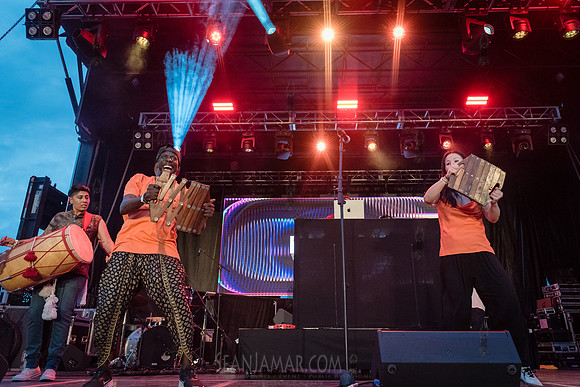 NYC SummerStage - DJ Rekha Basement Bhangra - Flushing Meadows P