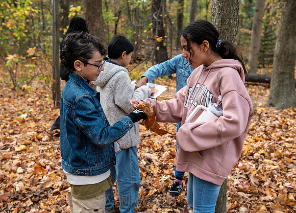 CPF Learn - Seeds To Trees - Prospect Park - NYC - 2024