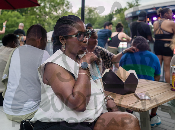 CPF SummerStage - T-Pains Mansion in Wiscansin Party - Rumsey Pl