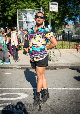 Afropunk Festival - Commodore Barry Park - BK USA - 2014