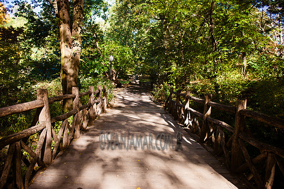 Adventure Day - Central Park - NYC - 2016
