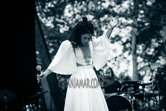 Emel Mathlouth - Rumsey Playfield - NYC - 2017