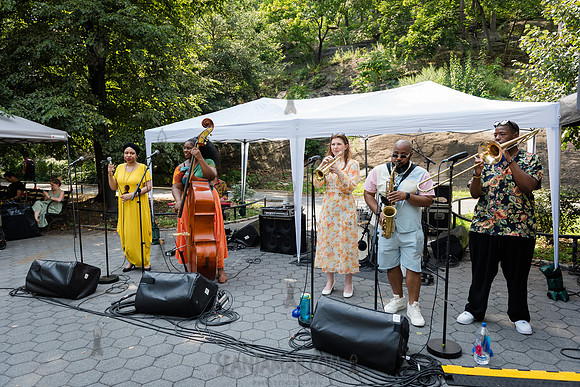 Endea Owens Community Cookout - Marcus Garvey Park - NYC - 2025