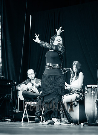 Nelida Tirado - Made in the Bronx presented by BAAD - St Marys Park - BX NYC - 2017