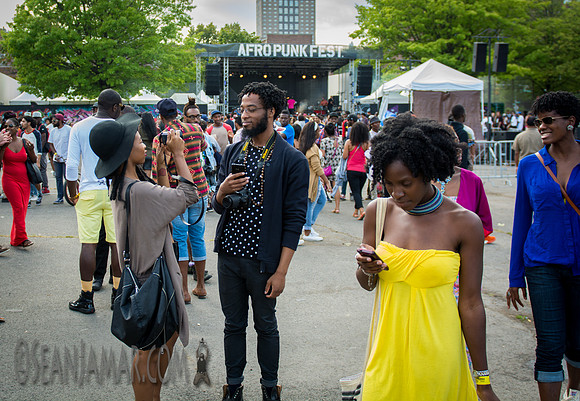 Afropunk Festival - Commodore Barry Park - BK USA - 2014