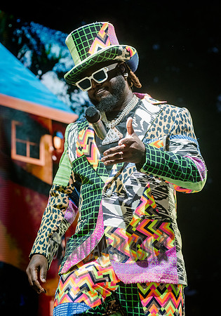 CPF SummerStage - T-Pains Mansion in Wiscansin Party - Rumsey Pl