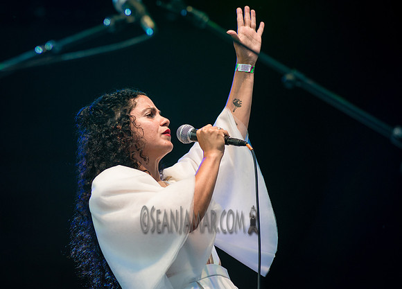 Emel Mathlouth - Rumsey Playfield - NYC - 2017