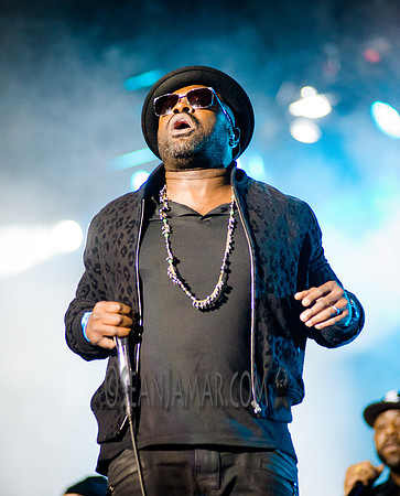 Wu Tang Clan - Roots Picnic - Bryant Park - NYC - 2016