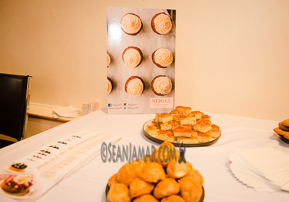 France Rocks Summerfest Opening Soirée - The French Embassy - NYC - 2016