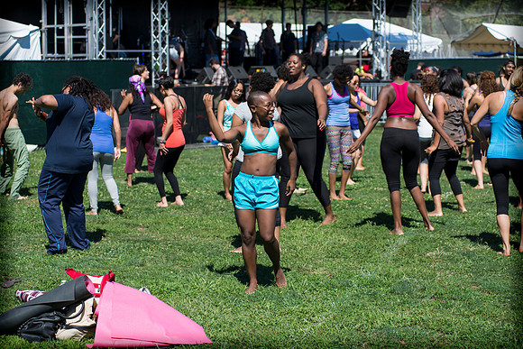 Afropunk Festival - Commodore Barry Park - BK USA - 2013