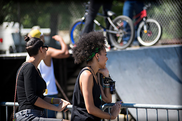 Afropunk Festival - Commodore Barry Park - BK USA - 2013
