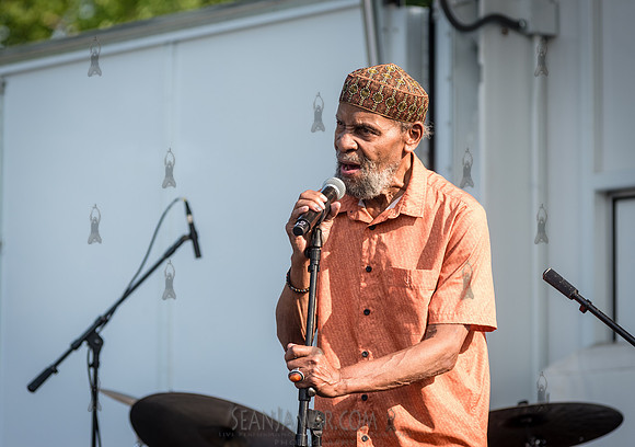 Sista Zock - NYC SummerStage - Gil Scott Heron Tribute - St Mary
