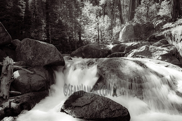 Adventure Day - Chilnualna Falls Hike - Yosemite National Park - Wawona CA - 2017