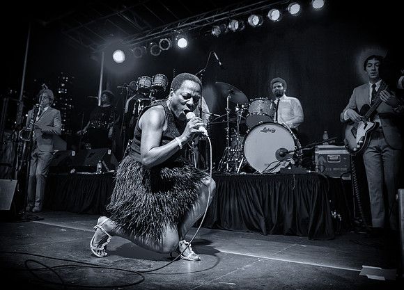 Sharon Jones & the Dap Kings - Afropunk Festival - Commodore Barry Park - BK USA - 2014