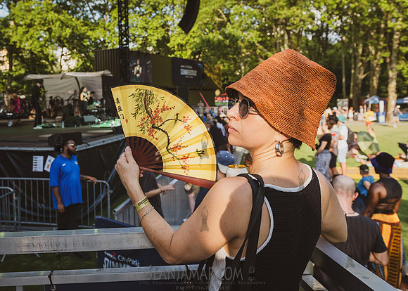 NYC SummerStage - Rhianon Giddens - Rumsey Playfield - NYC - 202