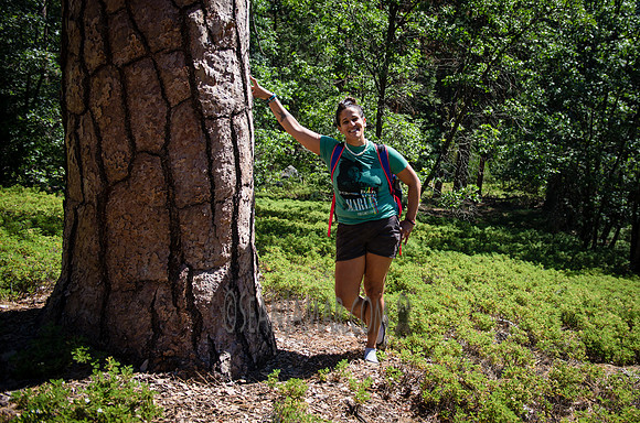 Adventure Day - Chilnualna Falls Hike - Yosemite National Park - Wawona CA - 2017