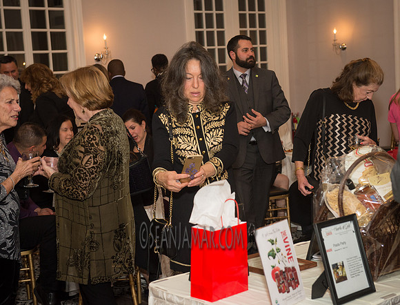 Bergen Volunteer Center - Hearts of Gold Dinner and Auction - The Stony Hill Inn - Hackensack NJ - 2017