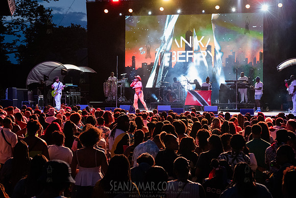 Anika Berry - CPF SummerStage - Patrice Roberts - Rumsey Playfie