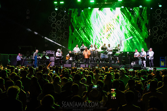 Issac Delgado - NYC SummerStage - Celia Cruz Celebration - Rumse