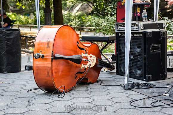 Endea Owens Community Cookout - Marcus Garvey Park - NYC - 2025