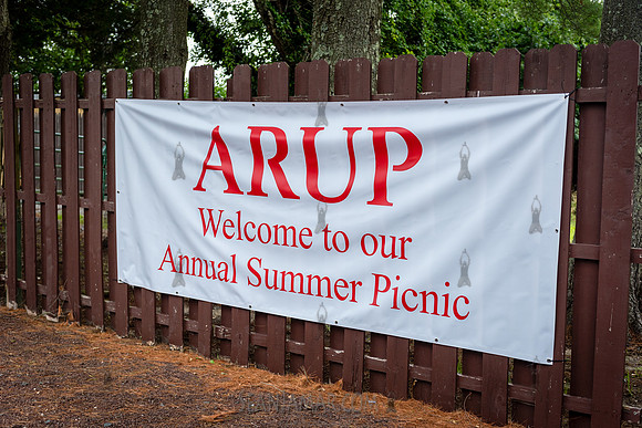 ARUP Company Picnic - Black Bear Lake - Millstone Township NJ -