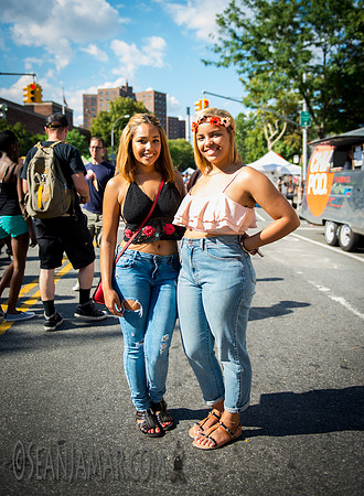 Afropunk Festival - Commodore Barry Park - BK USA - 2014