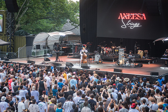 Aneesa Strings - CPF SummerStage - Yussef Dayes - Rumsey Playfie