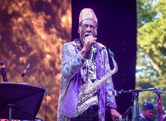 Sun Ra Arkestra - CPF SummerStage - Kim Gordon - Rumsey Playfiel
