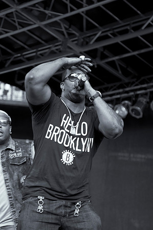 Brooklyn Hip Hop Festival 2012 f/ Busta Rhymes & friends