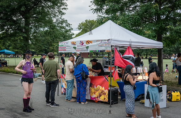 NYC SummerStage - DJ Rekha Basement Bhangra - Flushing Meadows P