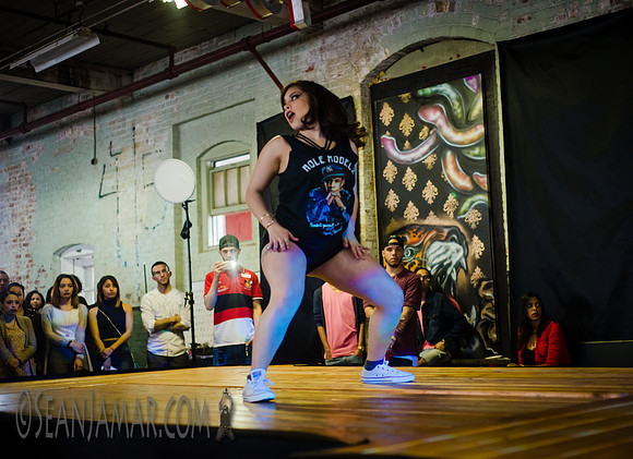 Role Modelz Clothing - Certified Artistry - Art Factory - Paterson NJ - 2015